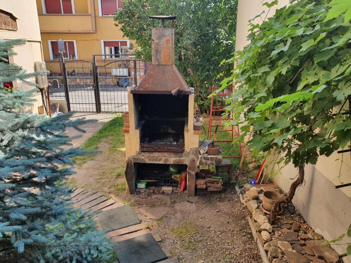 Pensiunea Casa Blaga *